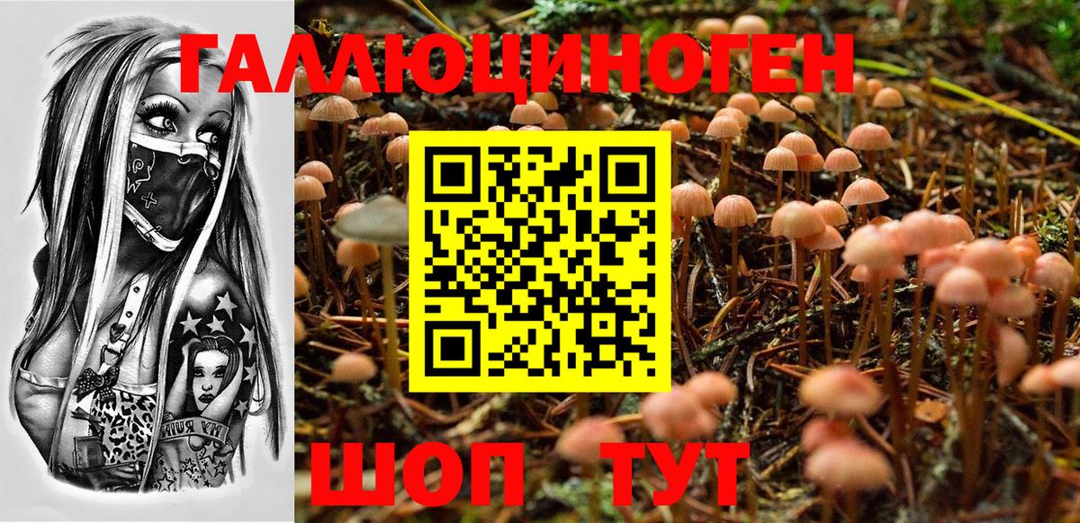 Галлюциногенные грибы Psilocybine cubensis  Галлюциногенные грибы мицелий  Пугачёв  Вход с VPN 