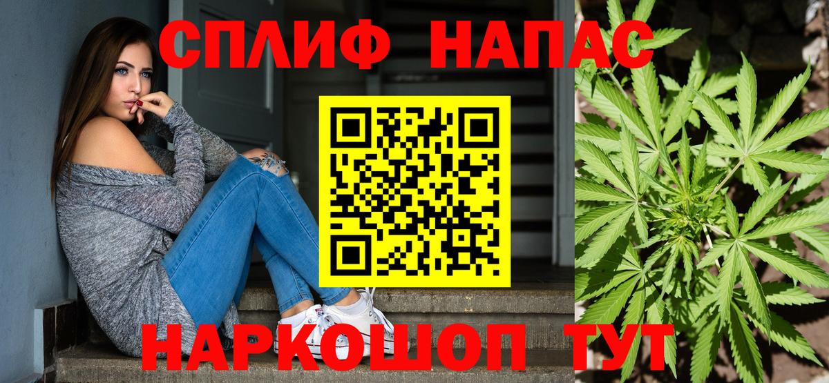 Каннабис планчик Пугачёв